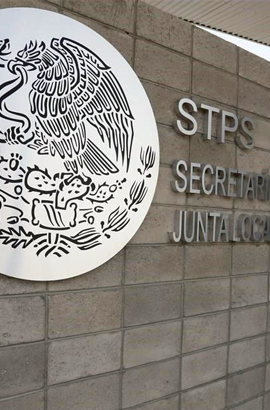 Apoyo (Requisitos y Normativas STPS)